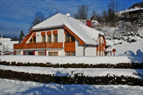 Гостиница Pension B&B, Врхлаби